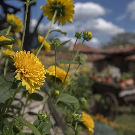 Guest house Imalo Edno Vreme